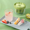 8 Compartment Homemade Ice Cream Mold