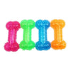 TPR Spiky Bone Dog Chew Toy with Squeaker