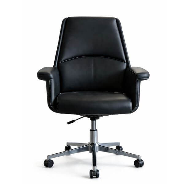 Perfect Dealz Lumbar Support Office Chair