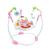 Multifunction Baby Jumperoo Learning Walker with Music, a playful baby jumper featuring toys and musical elements.