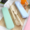 Portable Cutlery and Straw Travel Set – 4-Colour Storage Box