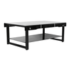 Perfect Dealz Risque Coffee Table with Modern Glass Design