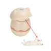Smart Interactive Laser Cat Toy