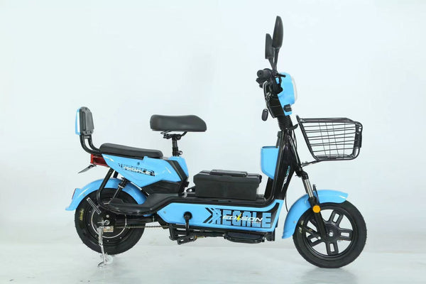 48V Adventure Electric Bike - Ride into Freedom Today!