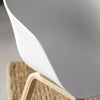 Close-up of the Modern White Dining Tub Chair showcasing its smooth polypropylene seat and wooden base.