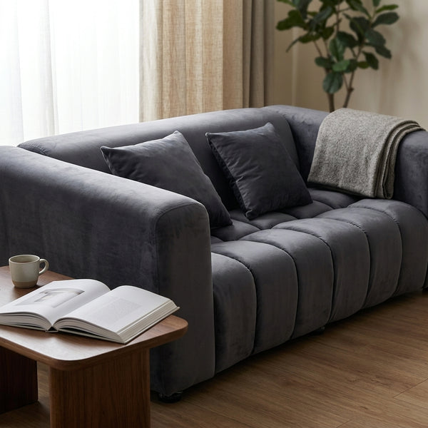 Modern Grey Upholstered 2-Seater Sofa with plush cushions and cozy throw, enhancing contemporary living space decor.