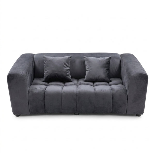 Modern Grey Upholstered 2-Seater Sofa with plush cushions and sleek design.