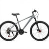 21-Speed Adult Mountain Bike