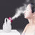 Perfect Dealz Facial Steamer