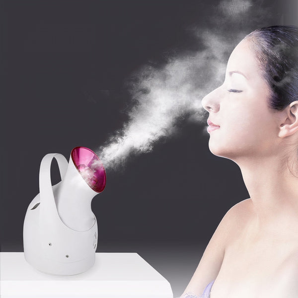 Perfect Dealz Facial Steamer