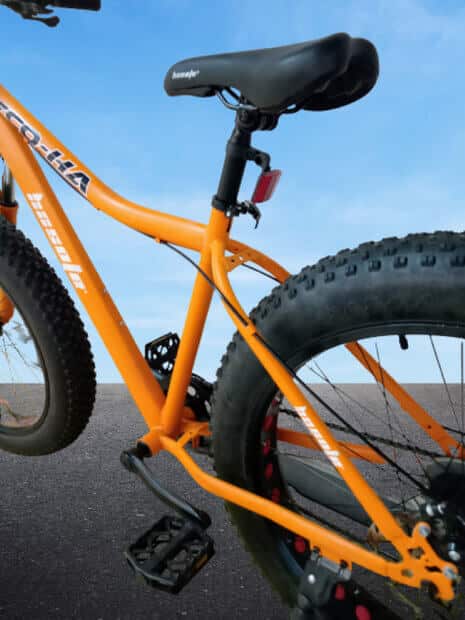 26 inch Large Frame Black Fat Tire Bicycle image 2