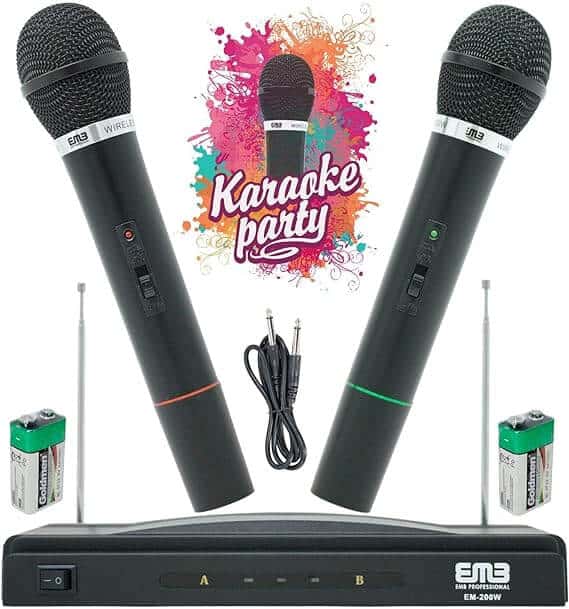 Perfect Dealz Wireless Microphone Set