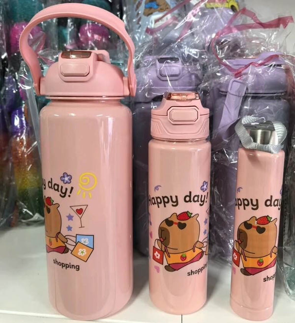 3 Piece Water Bottle Set image 0