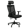 Perfect Dealz Mesh Pro Ergonomic Office Chair