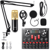 Perfect Dealz Professional Condenser Microphone