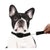 Magnetic Retractable 2 In 1 Telescopic Leash And Collar image 0