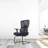 Perfect Dealz Mesh Lumbar Back Support Office Chair