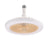 Perfect Dealz Ceiling Fan with Lighting Lamp