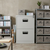 2-Drawer Compact Steel Filing Cabinet in a modern office setup with organized storage solutions.