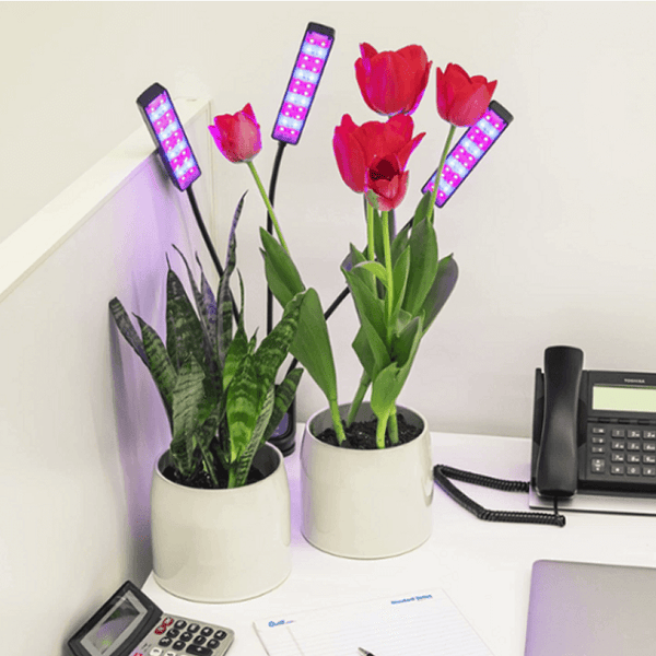 Flexible LED Indoor Grow Light image 0