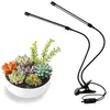 10W LED USB Lamp Clip Desk for Plants providing light to a succulent arrangement for indoor gardening.
