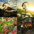 Angelic Solar Garden Light with Decorative Wind Chimes enhancing outdoor spaces with soft illumination and wind chime sounds.