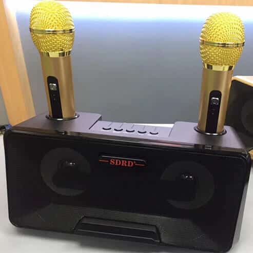 Perfect Dealz Wireless Live Dual Microphones with Bluetooth Speaker