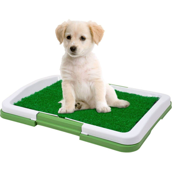Dog Potty Trainer image 0