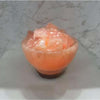 Perfect Dealz Himalayan Salt Crystal Bowl Table Lamp