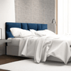 Perfect Dealz Taylor Velvet Accent Headboard