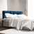 Perfect Dealz Taylor Velvet Accent Headboard