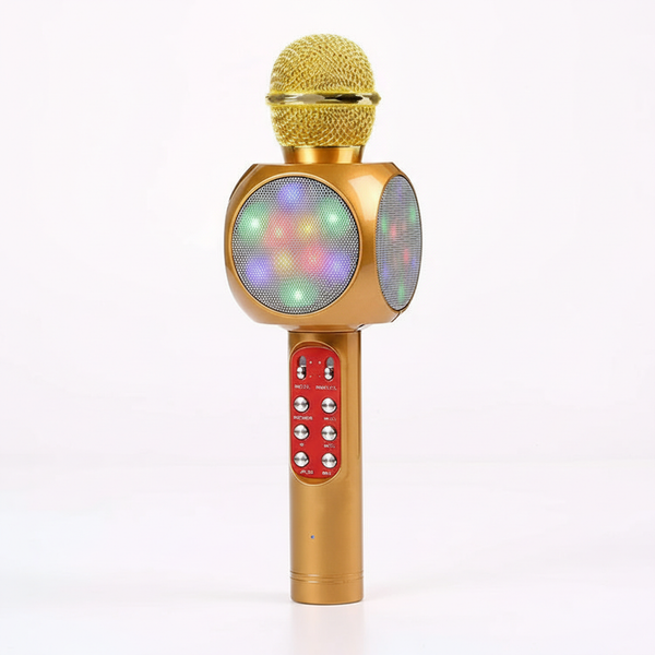 Wireless Karaoke Microphone with Speaker