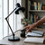 Photo Full Spectrum Light Bulb 150W in desk lamp illuminating workspace with plants and coffee mug.