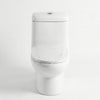 Modern Ceramic One-Piece Toilet Unit with sleek design for contemporary bathrooms.
