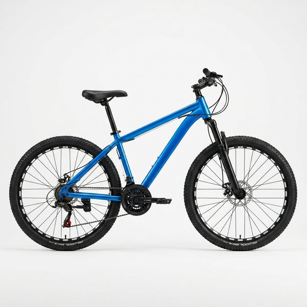 Steel 21 Speed Mountain Bike