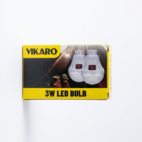 Portable Solar Panel LED Light Kit with DC Bulbs packaging featuring two clear bulbs and energy-efficient design.