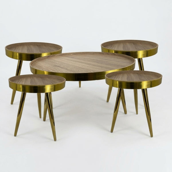 5 Piece Modern and Stylish Dining Table