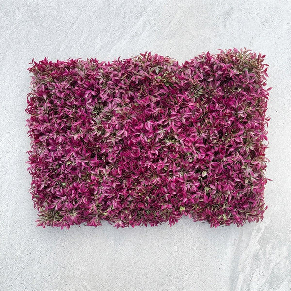 Plastic Artificial Plant Wall Panel