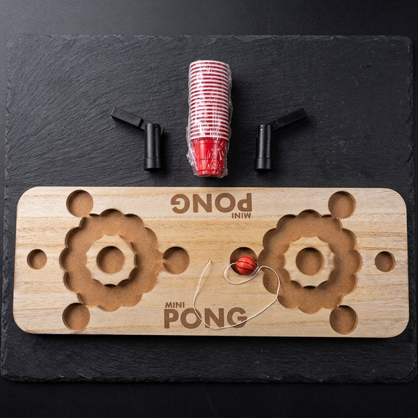 Indoor Tabletop Beer Pong Table