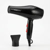 High Power Professional Hair Dryer