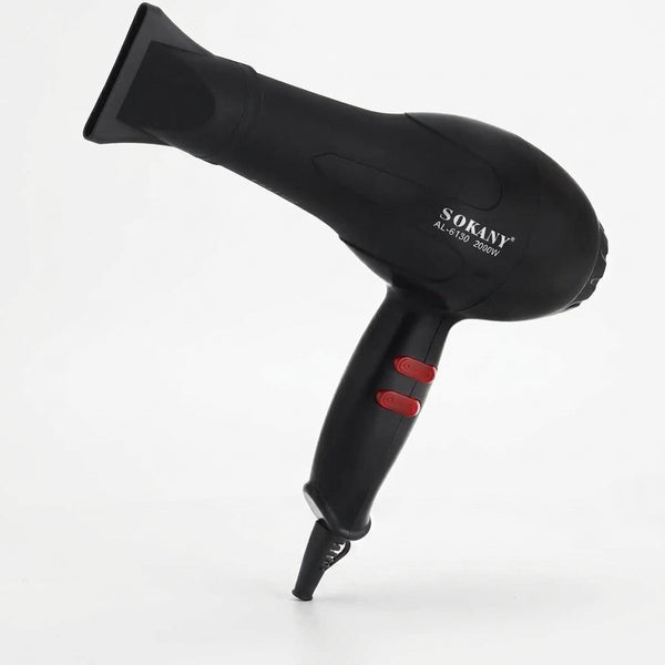 Professional Hair Dryer and Concentrator Attachment