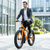 26'' Large Frame Black Fat Tire Bicycle