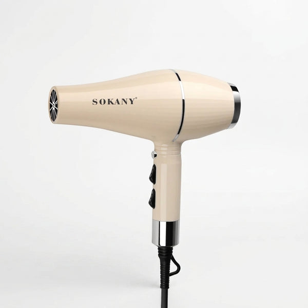 2000W Automatic Thermostat Salon Hair Dryer