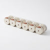 Magnetic Wall Mounted Spice Rack Set