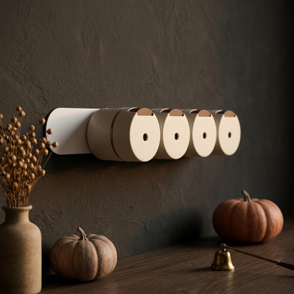 Magnetic Wall Mounted Spice Rack Set