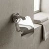 Stainless Steel Wall Mounted Toilet Paper Holder with Cover