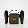 Mini Karaoke Amplifier with Microphones featuring a compact design and two microphones for easy use.