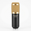 Professional Condenser Microphone