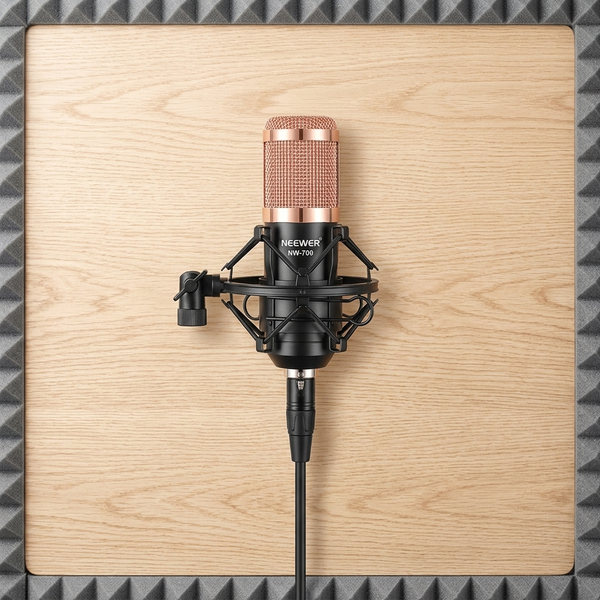 Professional Condenser Microphone