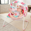 Baby Music and Soothe Bouncer